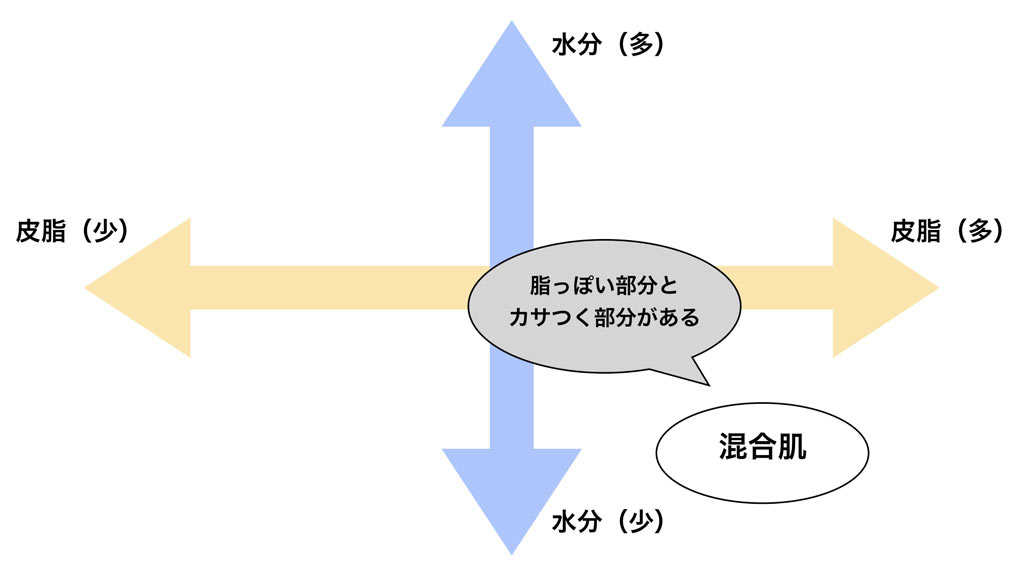 乾燥型脂性肌(混合肌)の特徴