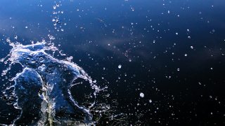 保湿はなぜ重要？初心者でもわかる乾燥を防ぐ保湿メカニズム5つ